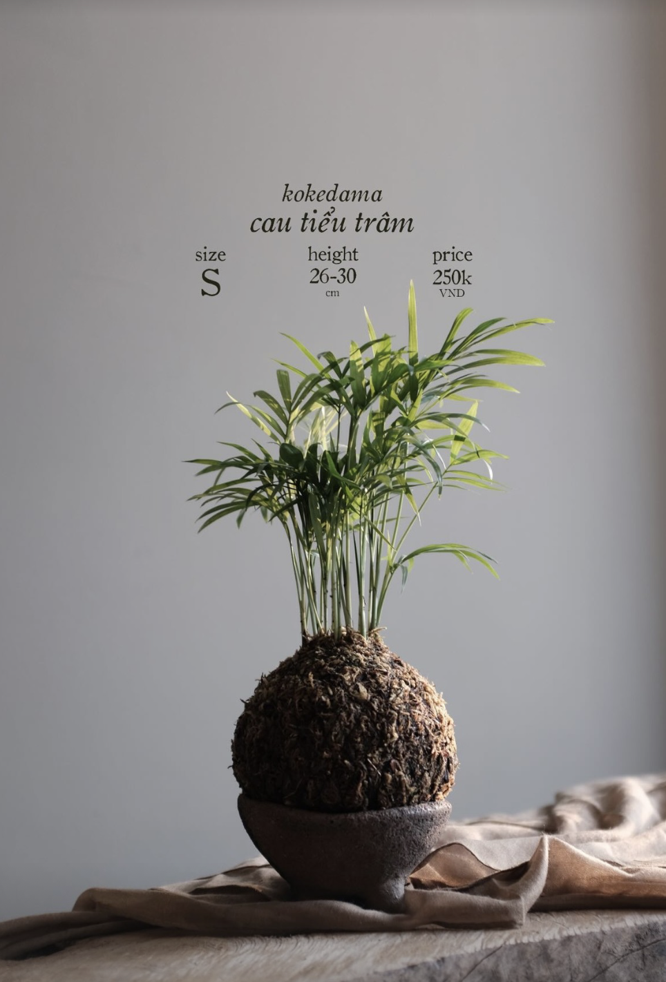 Screenshot 2024-08-22 at 11.58.41 AM